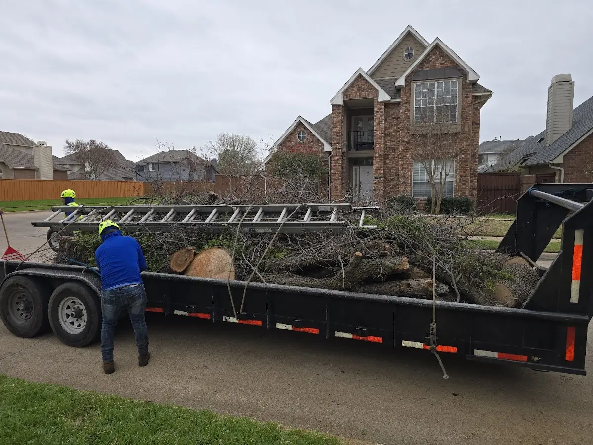 Expert Crown Reduction with proper safety equipment in Double Springs
